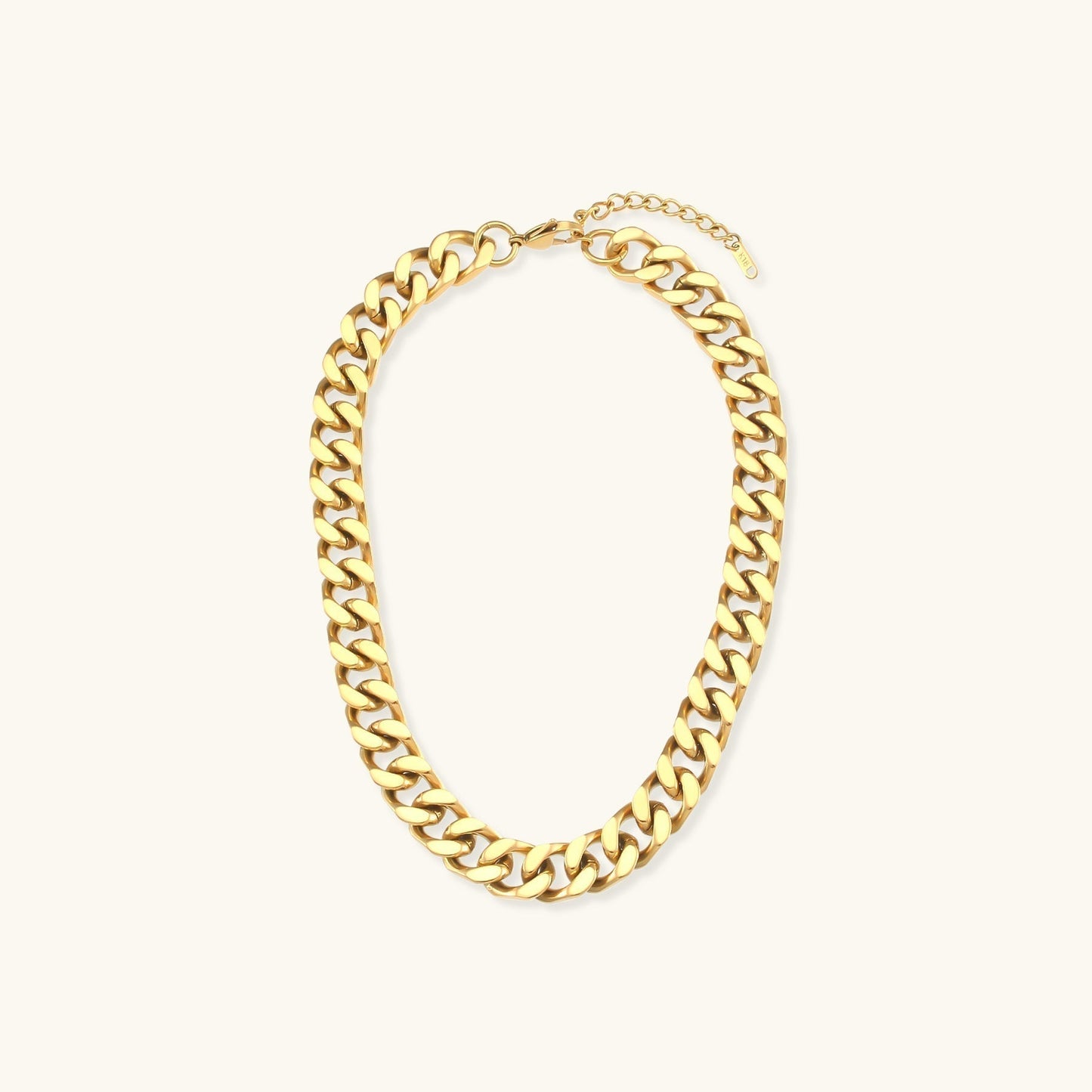 Gianna Thick Chain Necklace