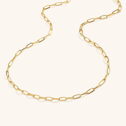 Nadia Trombone Chain Necklace