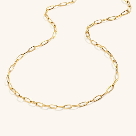 Nadia Trombone Chain Necklace